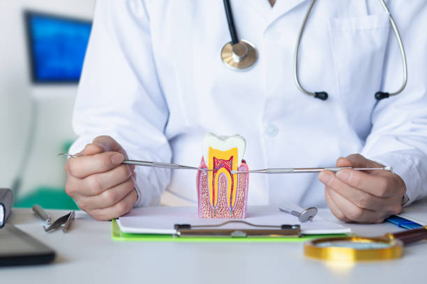 Best Orthodontic Emergency Dentist in Yorktown, IN